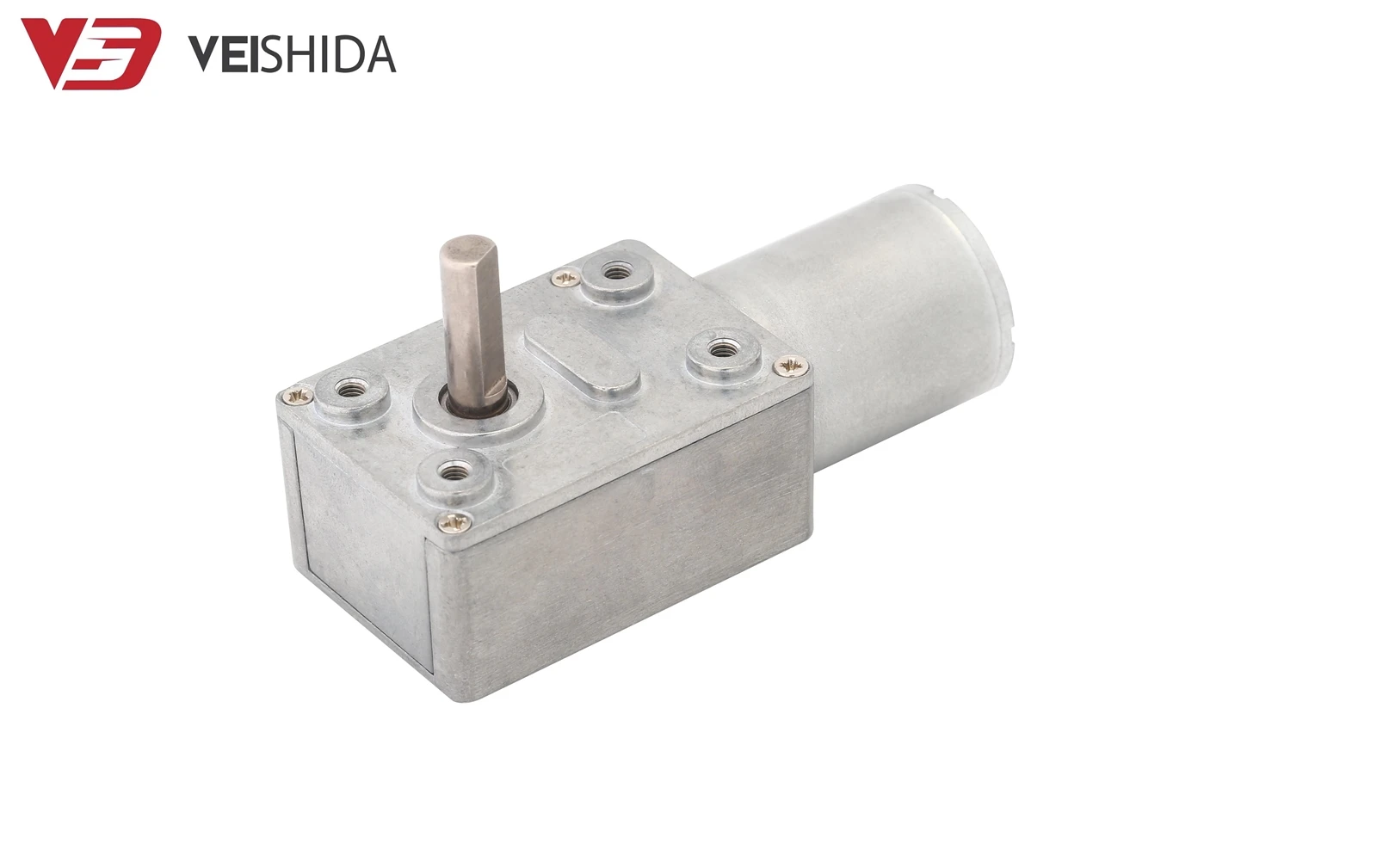 BL2430 worm gear motor BL2430 worm gear motor