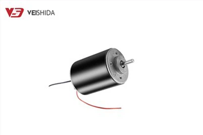 Micro kartáčovaný DC motor