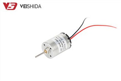 Micro Brushless DC Servo Motor